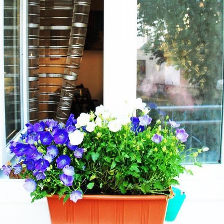 Apartment 5 Min By Walk To The Center Brno Esterno foto