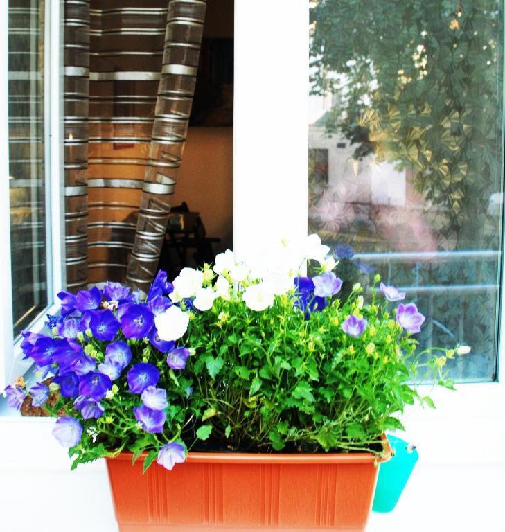Apartment 5 Min By Walk To The Center Brno Esterno foto